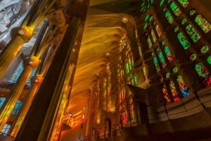Barcelone : Visite guidée du Parc Güell et de la Sagrada Familia