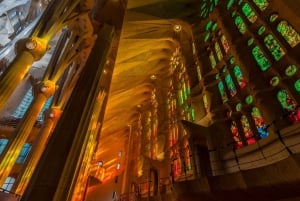 Barcelona: Rondleiding door Park Güell & Sagrada Familia