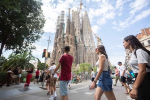 Barcelona: Park Güell & Sagrada Familia Guided Tour