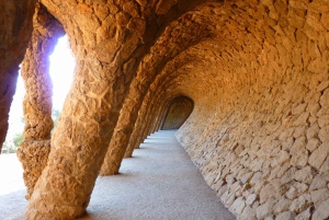Barcelona: Park Güell & Sagrada Familia Guided Tour