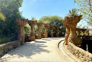 Barcelona: Park Güell: wycieczka z przewodnikiem bez kolejki