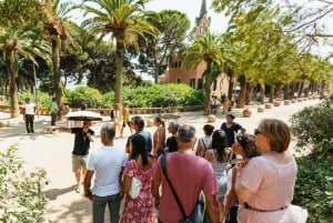 Barcelona: Park Güell voorrangsticket en rondleiding