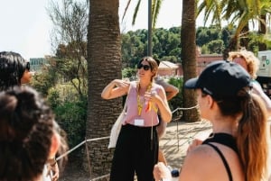 Barcelona: Park Güell voorrangsticket en rondleiding