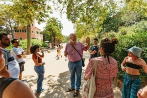 Barcelona: Park Güell voorrangsticket en rondleiding