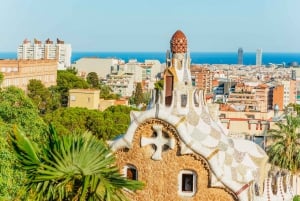 Barcelona: Park Güell voorrangsticket en rondleiding