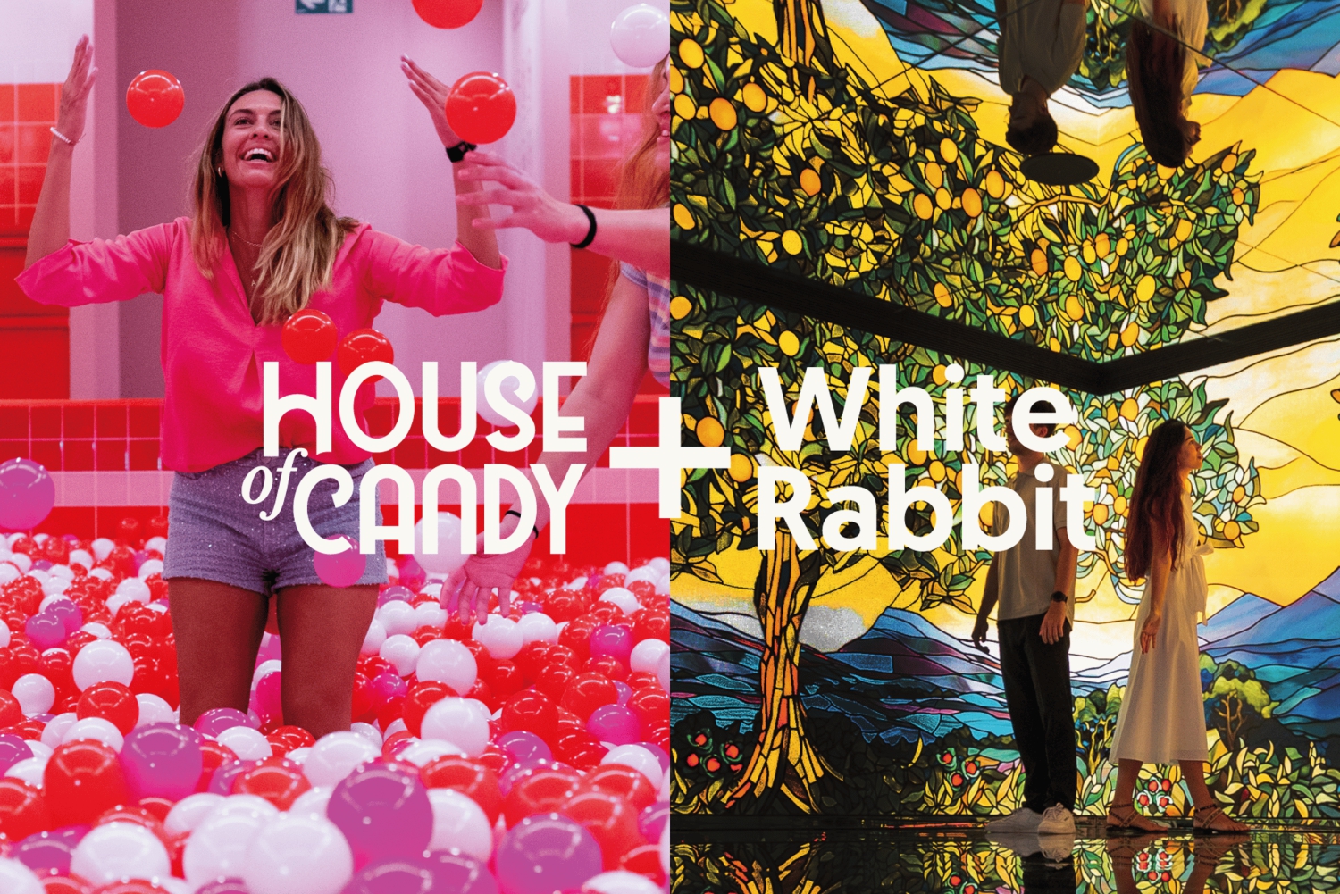 Barcelona Pass: White Rabbit & House of Candy Combo Ticket