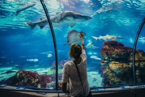 Barcellona: pass con Casa Battló, Casa Milà, Teleferic e altro