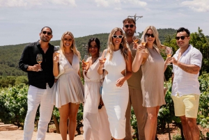 Barcelona: Ridning på vingård og vinsmagning + tapas