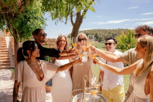 Barcelona: Ridning på vingård og vinsmagning + tapas