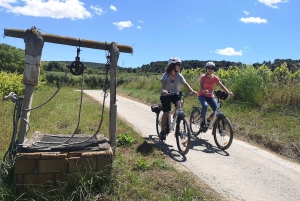 Barcelona, Spanien Penedès guidad tur med eBike och vinprovning