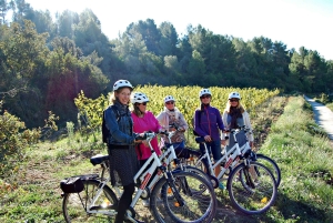 Barcelona, Spanien Penedès guidad tur med eBike och vinprovning