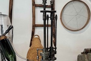 Barcelona: Passeio a cavalo pelas vinhas de Penedès com prova de vinhos