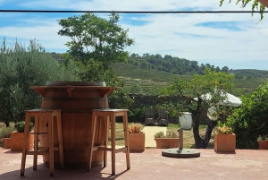 Barcelona: Passeio a cavalo pelas vinhas de Penedès com prova de vinhos
