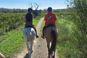 Barcelona: Passeio a cavalo pelas vinhas de Penedès com prova de vinhos