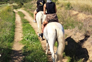 Barcelona: Passeio a cavalo pelas vinhas de Penedès com prova de vinhos