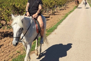Barcelona: Passeio a cavalo pelas vinhas de Penedès com prova de vinhos