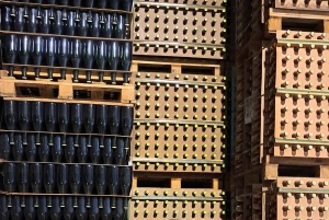 Barcelona: Passeio a cavalo pelas vinhas de Penedès com prova de vinhos