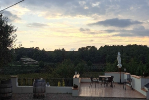 Barcelona: Passeio a cavalo pelas vinhas de Penedès com prova de vinhos