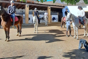 Barcelona: Passeio a cavalo pelas vinhas de Penedès com prova de vinhos