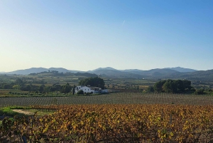 Barcelona: Passeio a cavalo pelas vinhas de Penedès com prova de vinhos