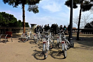 Barcelona: Passeio privativo personalizado de E-Bike