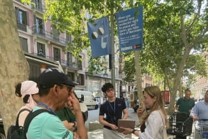 Barcelona: Rundvandring i Picassospåren och guidad museiupplevelse