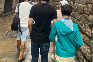 Барселона: пешеходная экскурсия по местам Пикассо и посещение музея с гидом