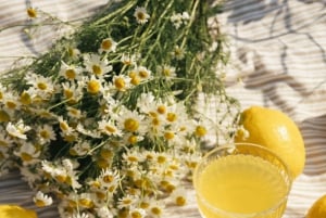 Barcelona PICNIC. Experiência exclusiva e personalizada.