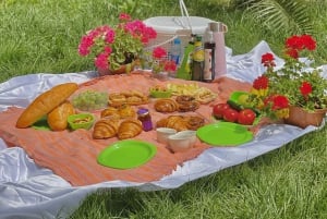 Barcelona PICNIC. Experiência exclusiva e personalizada.