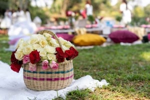 Barcelona PICNIC. Experiência exclusiva e personalizada.