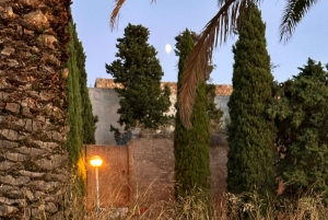 Barcelona PICNIC. Experiência exclusiva e personalizada.