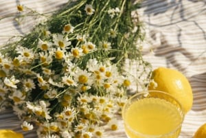 Barcelona PICNIC. Experiência exclusiva e personalizada.