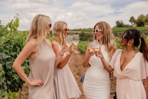 バルセロナプリオラート・ワイン・ツアー 2ワイン・テイスティング＋3コース料理