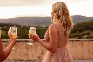 バルセロナプリオラート・ワイン・ツアー 2ワイン・テイスティング＋3コース料理