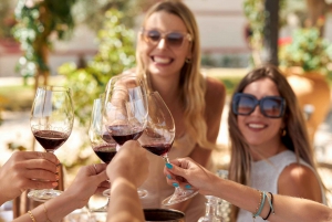 バルセロナプリオラート・ワイン・ツアー 2ワイン・テイスティング＋3コース料理