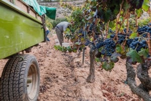 Barcelona: Priorat Wine Tour & Tastings and Lunch