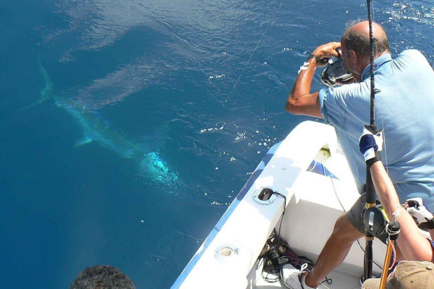 Barcelone : sortie de pêche privée en yacht