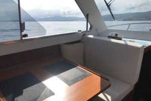 Barcelone : sortie de pêche privée en yacht