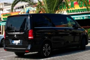 Barcellona: trasferimento privato di sola andata per Salou o Port Aventura