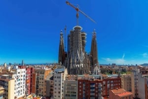 Barcelona: Private 2-Hour Sagrada Familia Tour for Seniors