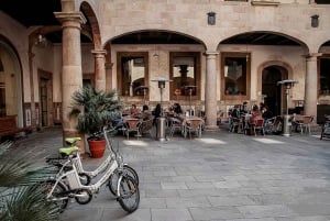 Barcelona: Privat rundtur i 5 stadsdelar med elcykel
