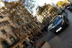 Barcelona: Private Car Tour with Professional Driver/Guide