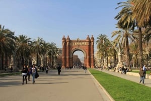 Barcelona: Private Christmas Walking Tour with Drink