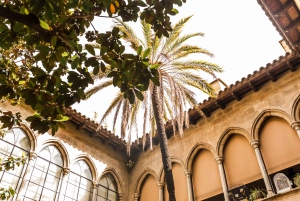 Barcelona: Excursão a pé particular de Natal com bebida