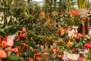 Barcelona: Excursão a pé particular de Natal com bebida