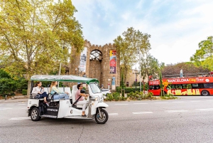 Barcelona: Private Tour durch die Stadt mit dem Eco Tuk Tuk