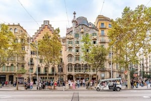 Барселона: частная экскурсия по городу на эко-тук-туке