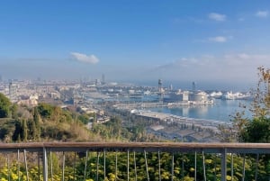 Barcellona: Tour privato della città