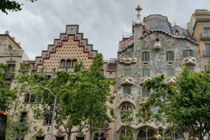 Barcellona: Tour privato della città