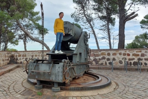 Barcelona: Privat byrundvisning